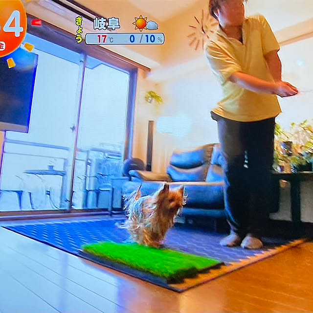 dearyumiさんの部屋