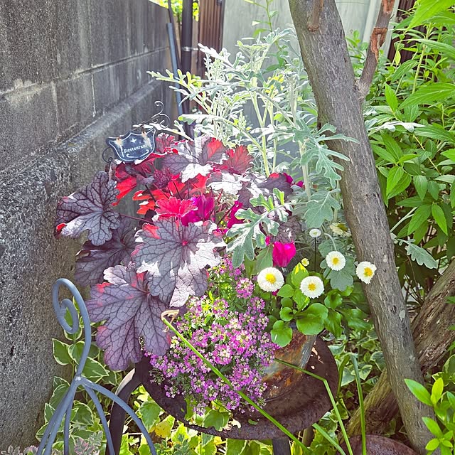 min_nimさんの実例写真