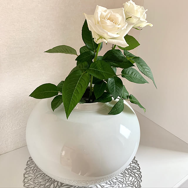 koko_hikaさんの実例写真