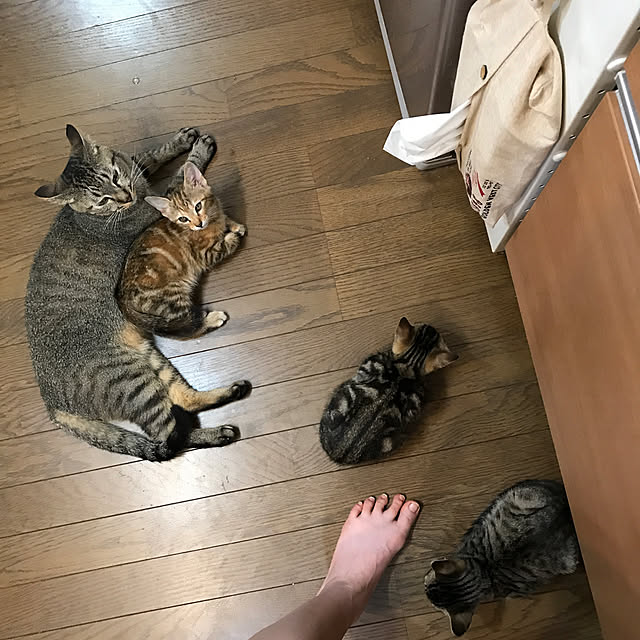 pepeさんの実例写真
