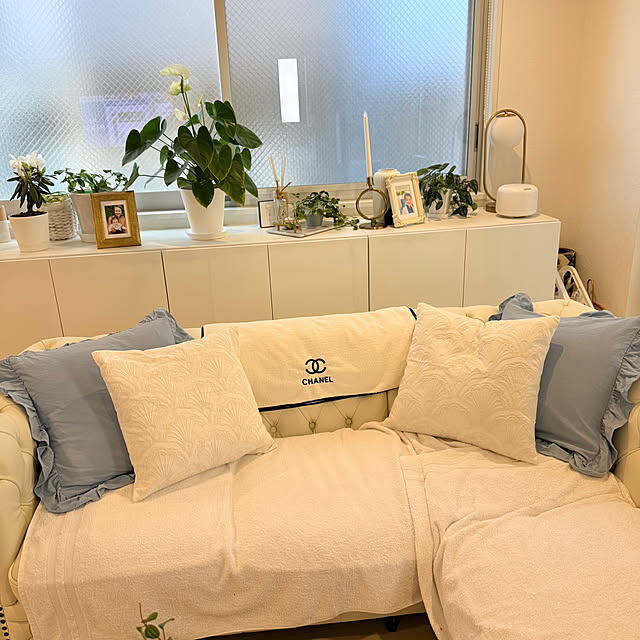 ChitoseImanishiさんの部屋