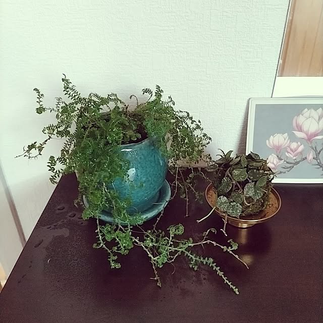 rieさんの部屋