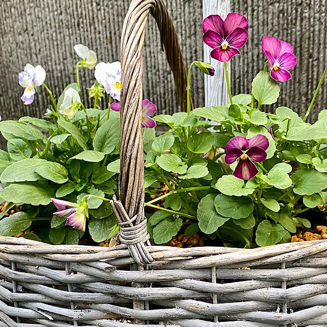 YuuKoさんの部屋