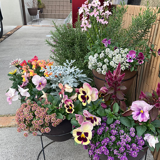 bestwishes.ryokoさんの部屋