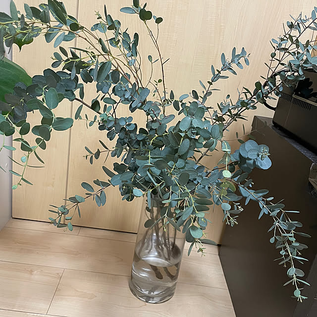 sarukichiさんの実例写真