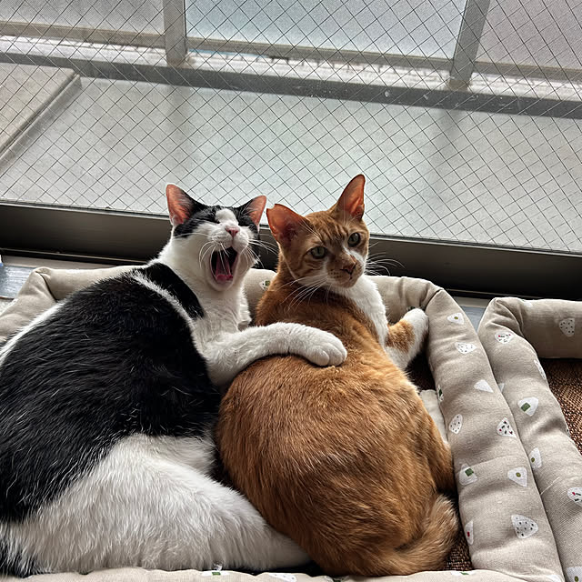 narikoさんの実例写真