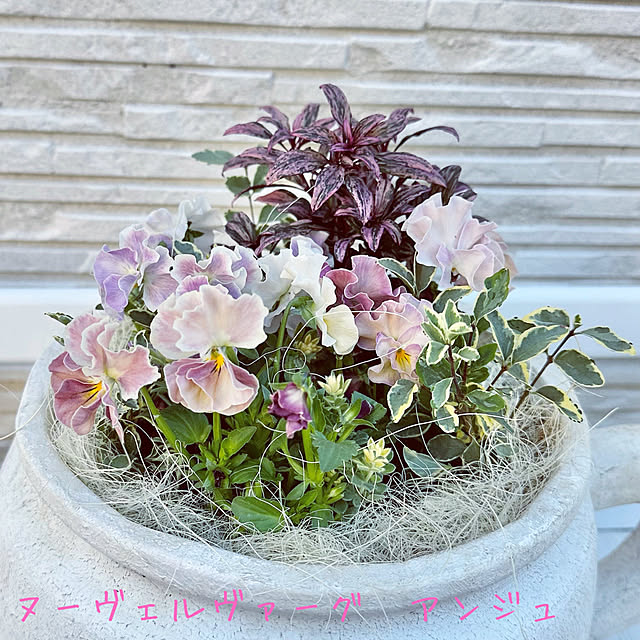 Re_さんの部屋