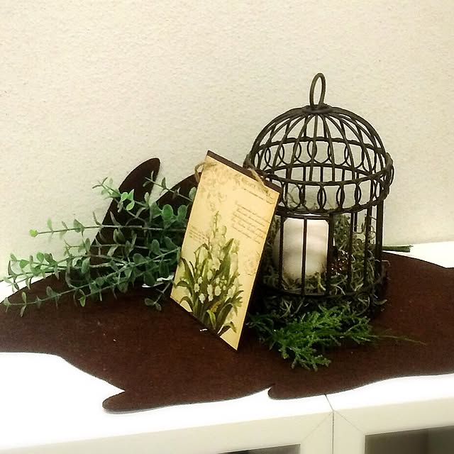 リビング/100均/雑貨/植物のインテリア実例 - 2015-02-18 07:20:45
