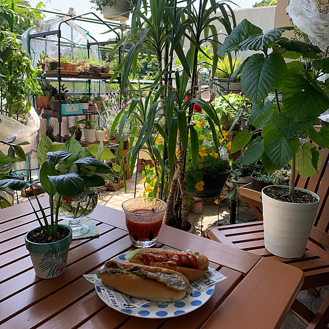 Aqettyさんの部屋