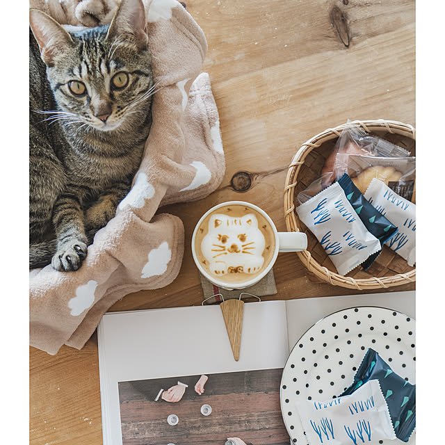 oliveさんの実例写真