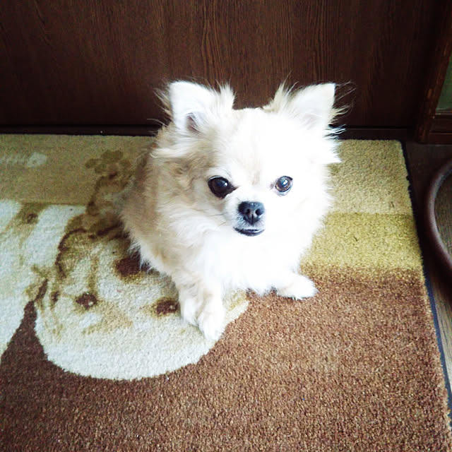 kiraさんの実例写真