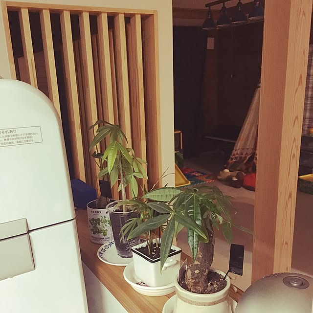 misataro2さんの実例写真