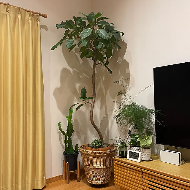 nanachanmamaさんの実例写真