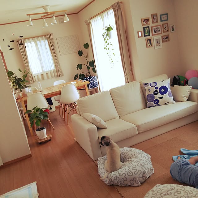 miruban1010さんの実例写真