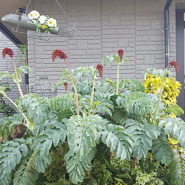 GreenHomeさんの実例写真