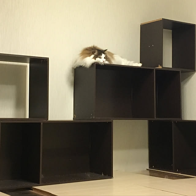 uraraさんの実例写真