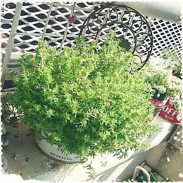 OBTERNIR88filerさんの実例写真