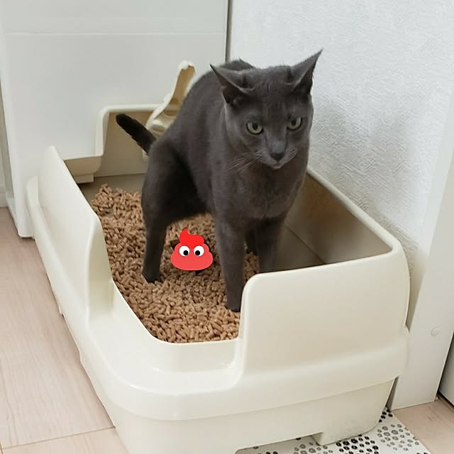 asahinaさんの実例写真