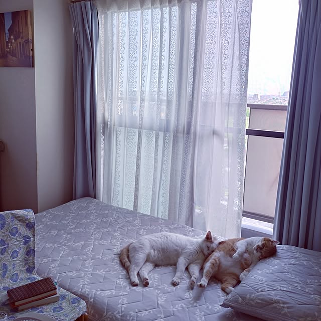 NOAHさんの実例写真