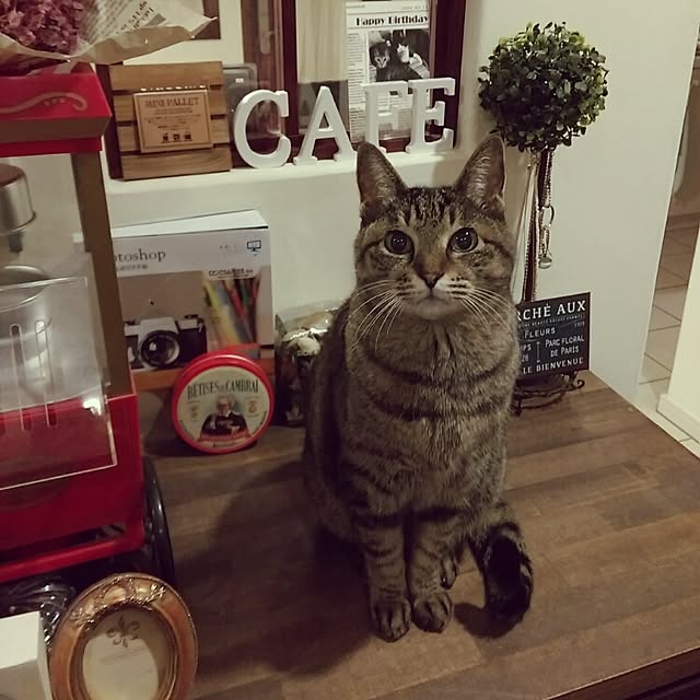 MM360さんの実例写真