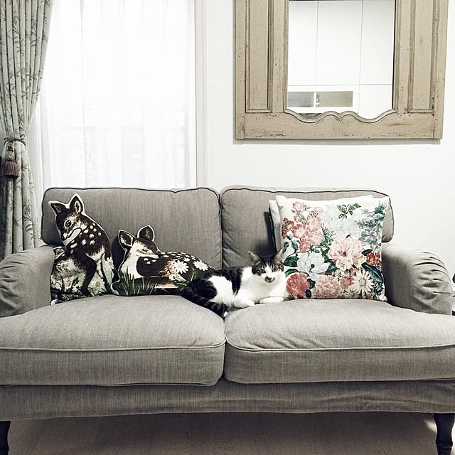 yuchiさんの実例写真