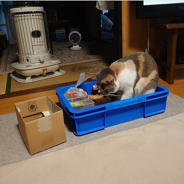 fukuさんの実例写真