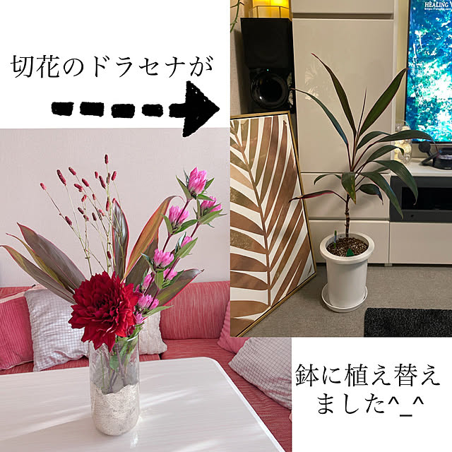Emafuさんの実例写真