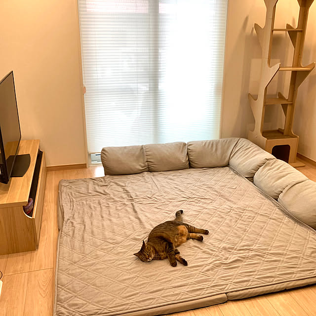 kirinsanさんの部屋