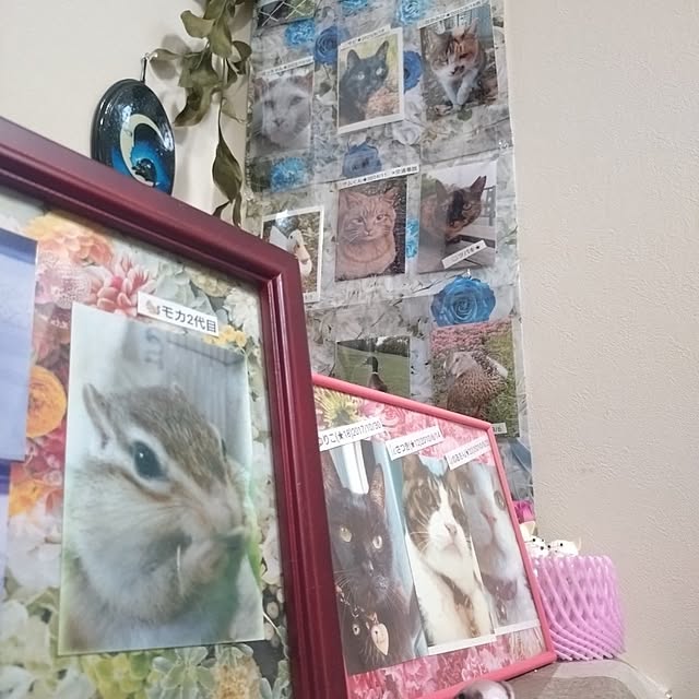 NOAHさんの部屋