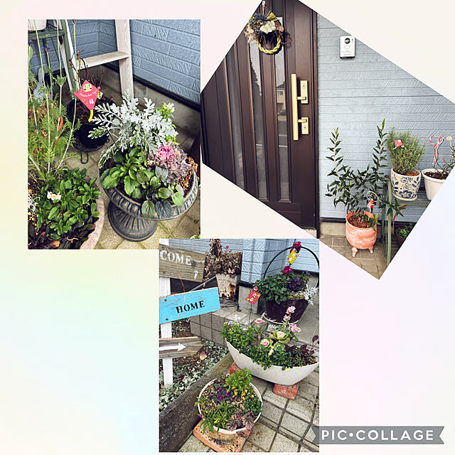 CoCo0617さんの部屋