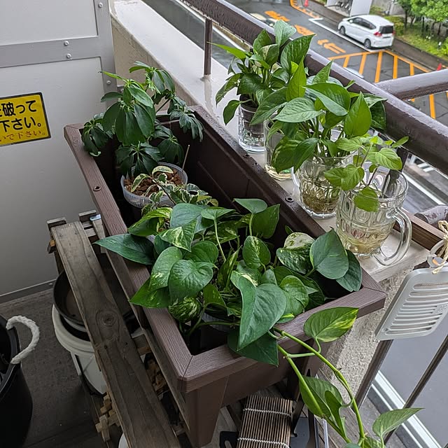 mi-saさんの部屋