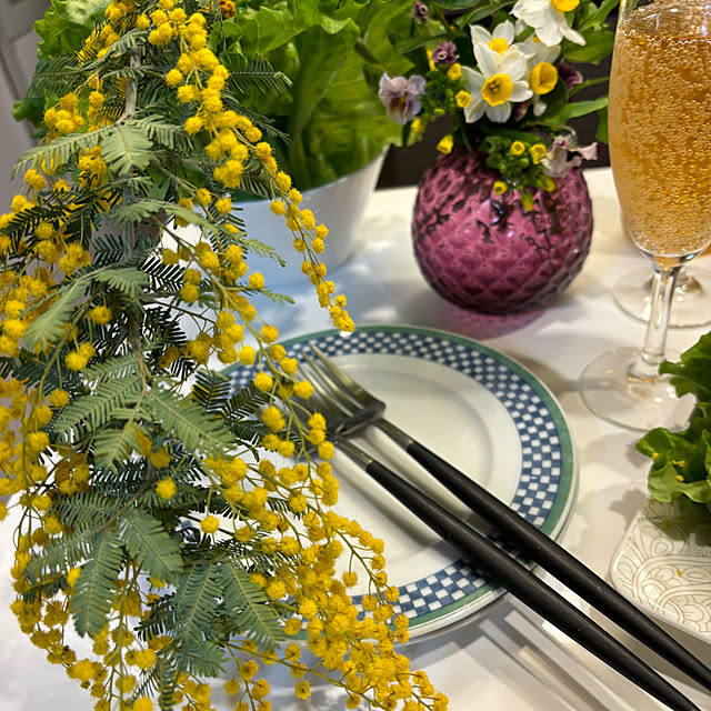 syutmmさんの部屋