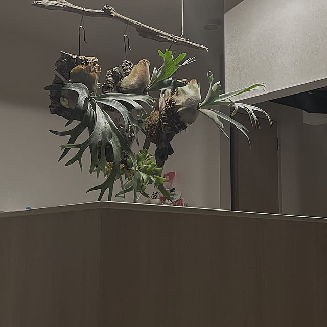 tkwbnさんの実例写真