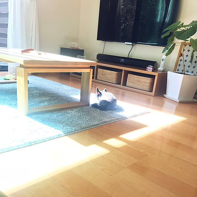 YukiYukiさんの実例写真