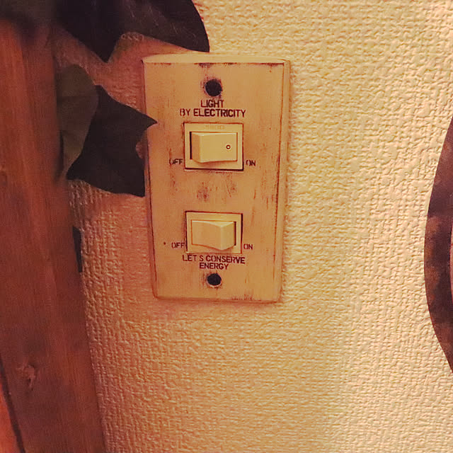 Shooneyさんの実例写真