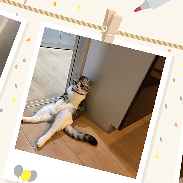 Dahliaさんの実例写真