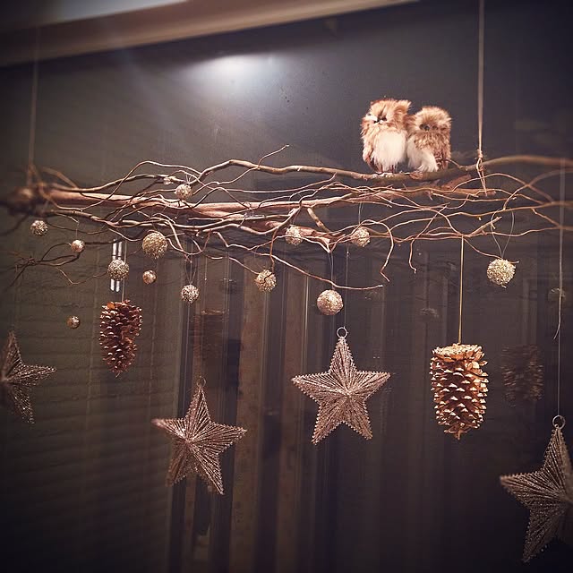 popさんの実例写真