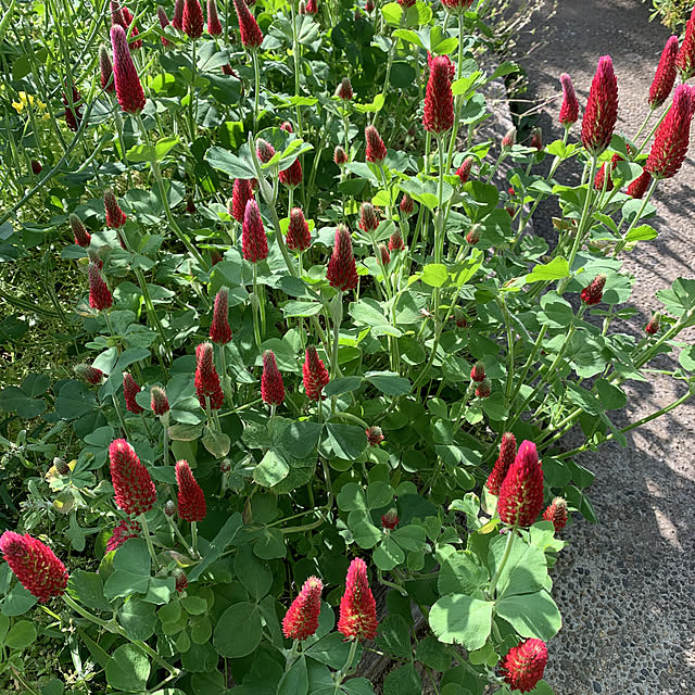 romiromiさんの実例写真