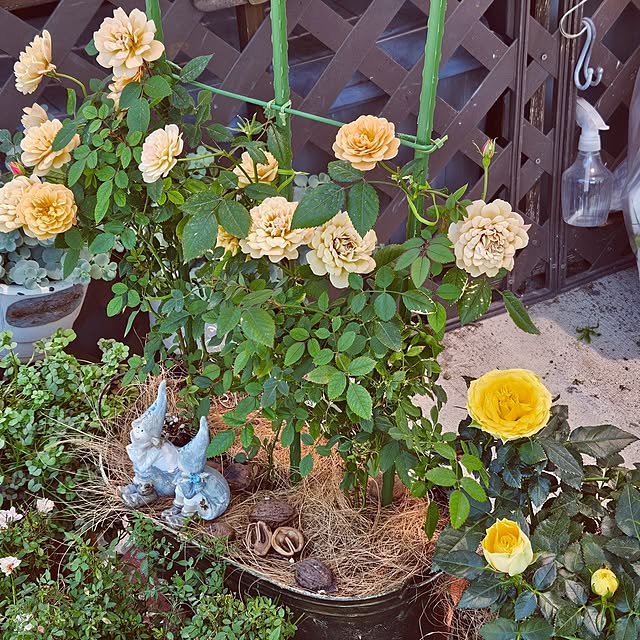 mocomocoさんの部屋