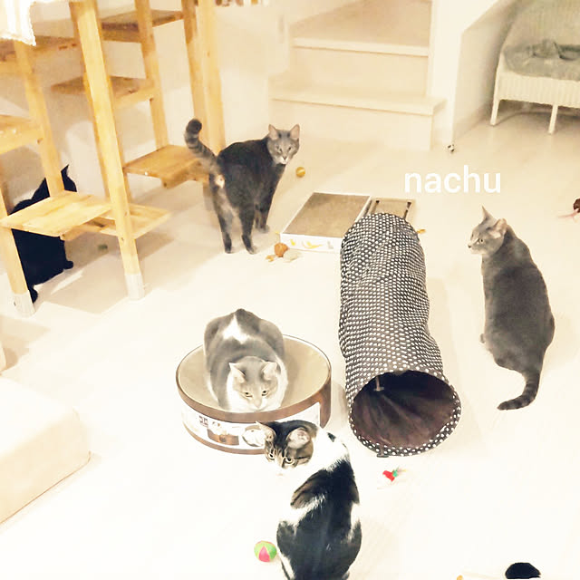 nachuさんの実例写真
