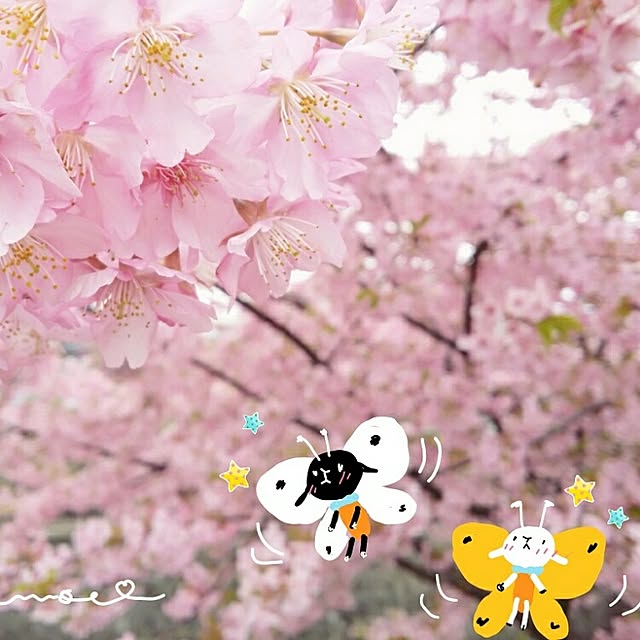 moco-mocoさんの実例写真