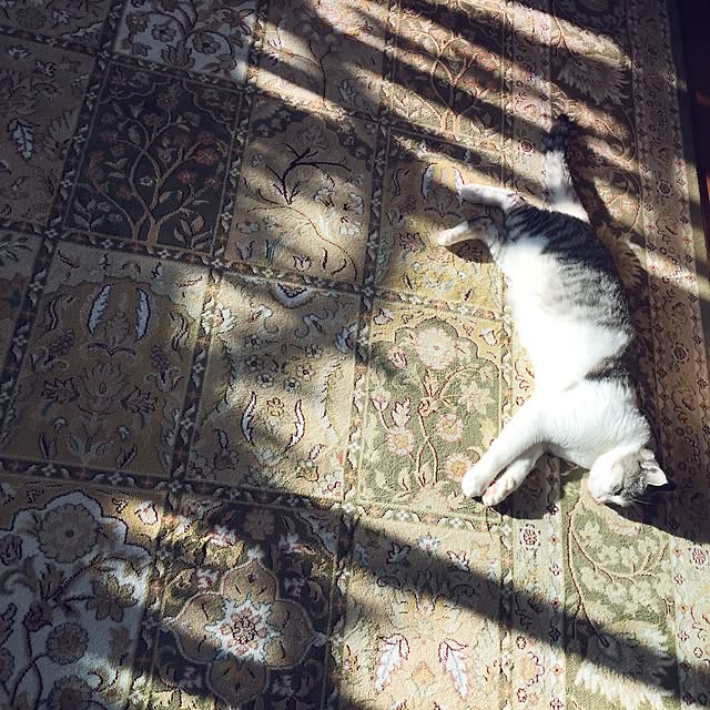 emmyyさんの実例写真