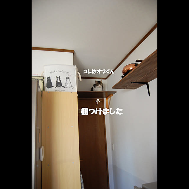 kikufujiさんの実例写真