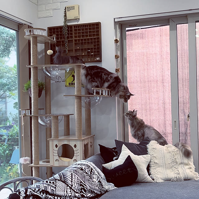 mayumiさんの実例写真