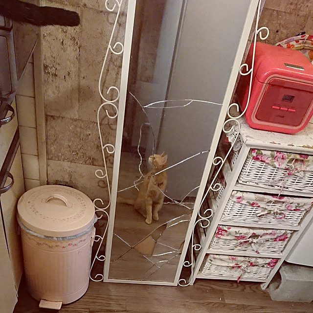 asuminさんの実例写真