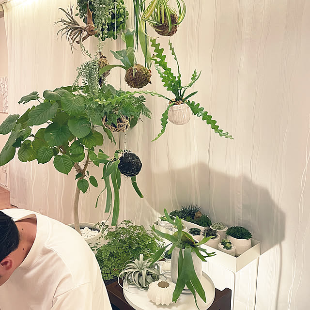 nanakoさんの実例写真