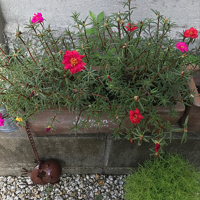 keito814さんの実例写真