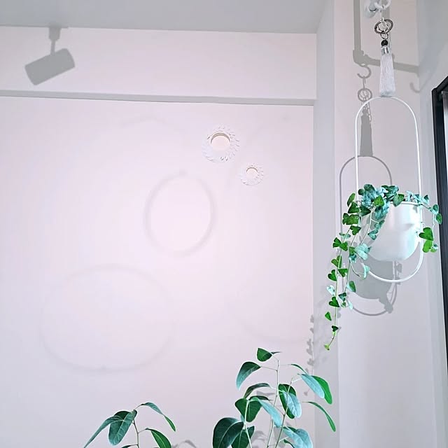 wnさんの部屋