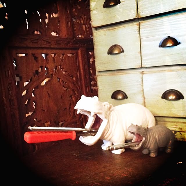 Mayumiさんの実例写真
