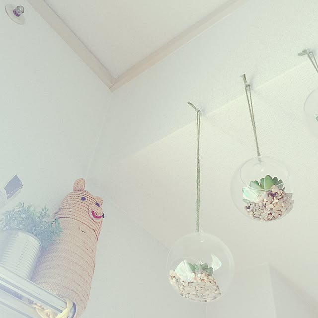 miunau375さんの実例写真